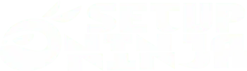 Foto desktop: Setup Ninja